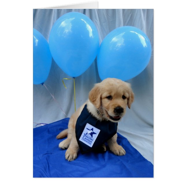 Tarjeta del globo de Levi (Frente)