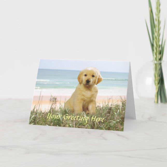 Tarjeta del golden retriever (Anverso)