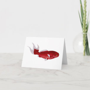 Tarjeta del Goldfish de Bloch