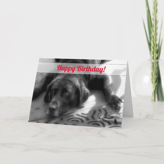 Tarjeta del grupo Birthday Labrador Dog (Anverso)
