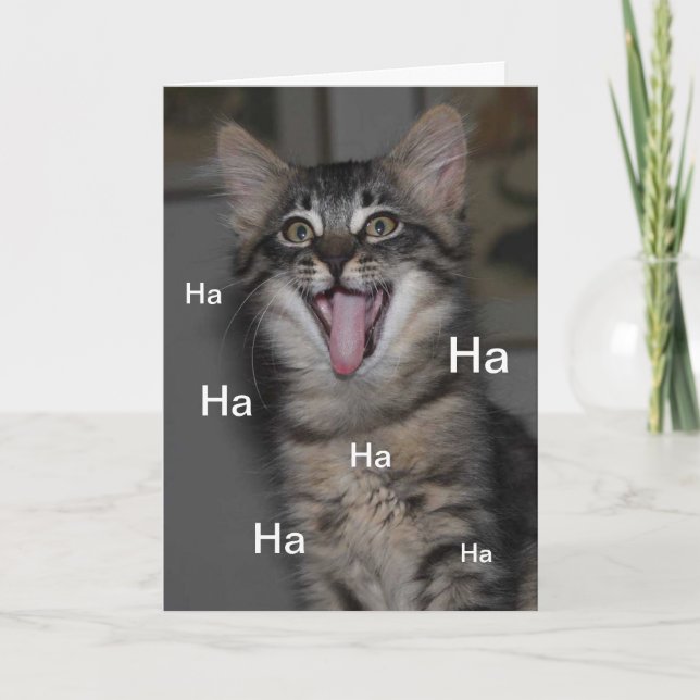 Tarjeta del hospital de Kitten Caspio (Anverso)