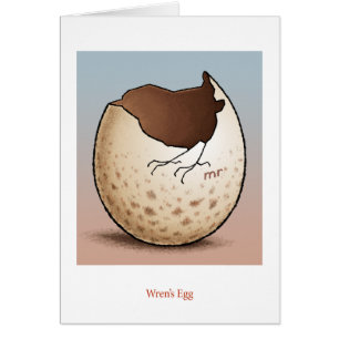 Tarjeta del huevo del Wren
