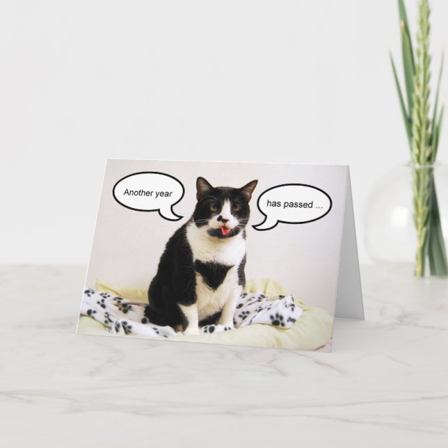 Tarjeta del humor del cumpleaños del gato del (Anverso)