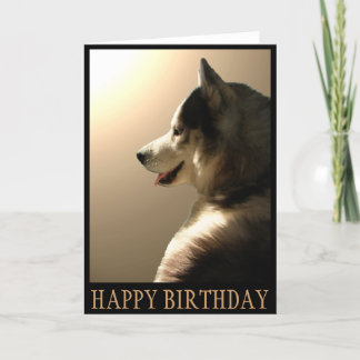 Tarjeta del husky siberiano/tarjeta del Malamute