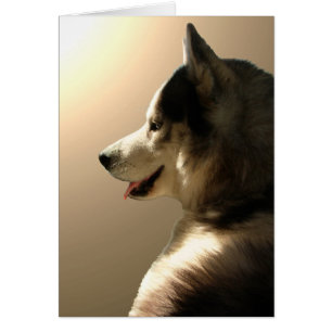 Tarjeta del husky siberiano/tarjeta del Malamute