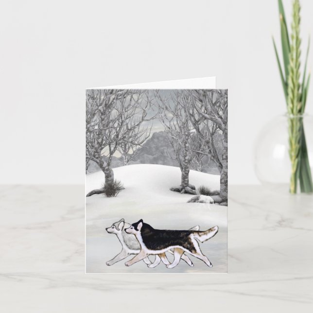 Tarjeta del invierno del husky siberiano (Anverso)