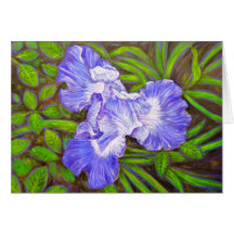 Tarjeta del iris