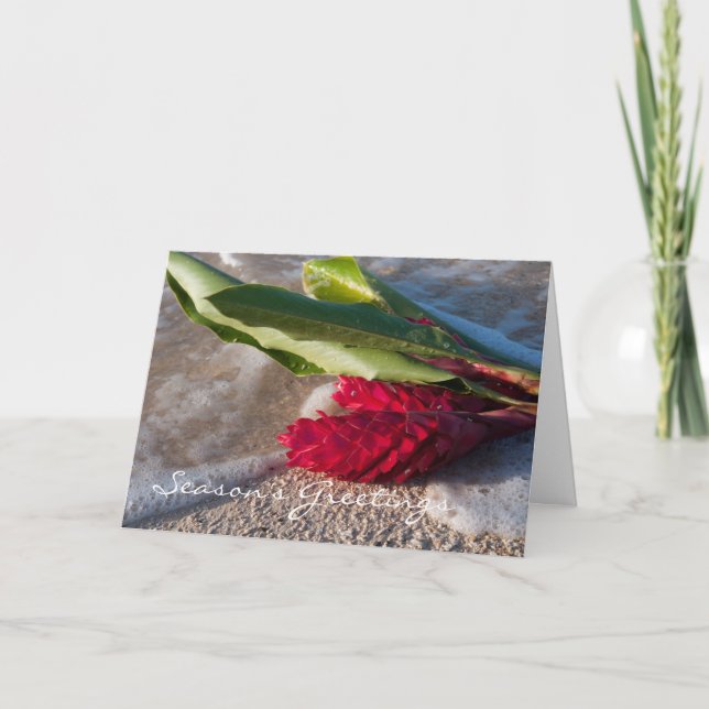 Tarjeta del jengibre rojo (Anverso)