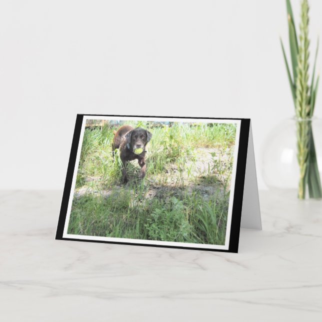 Tarjeta del laboratorio del chocolate (Anverso)