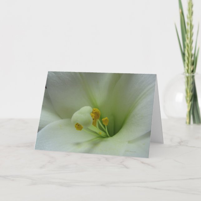 Tarjeta del lirio 1 (Anverso)