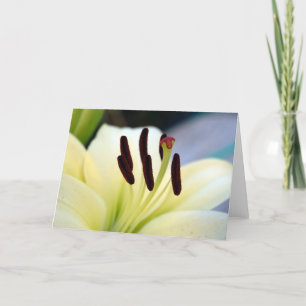 Tarjeta del lirio blanco 1