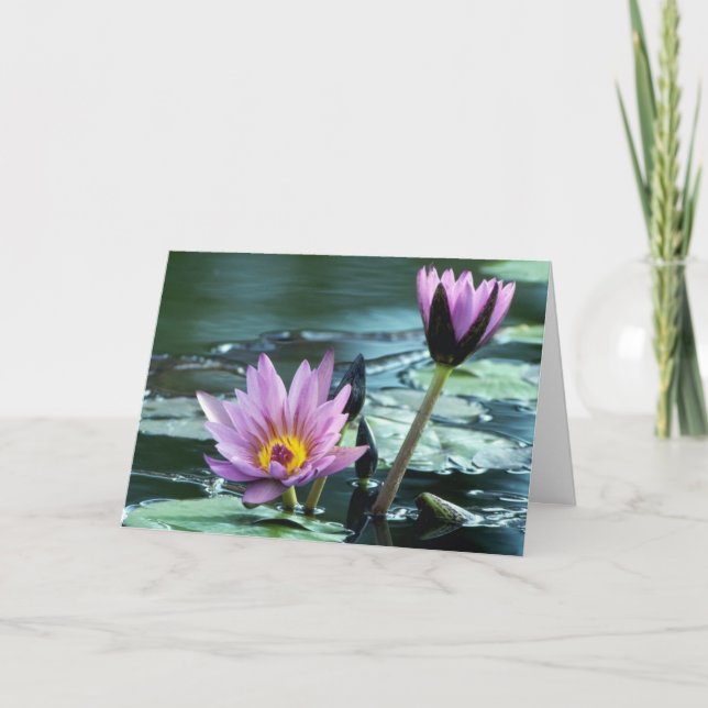 tarjeta del lirio de agua (Anverso)