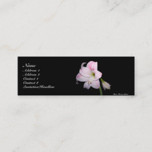 Tarjeta del lirio rosado y blanco