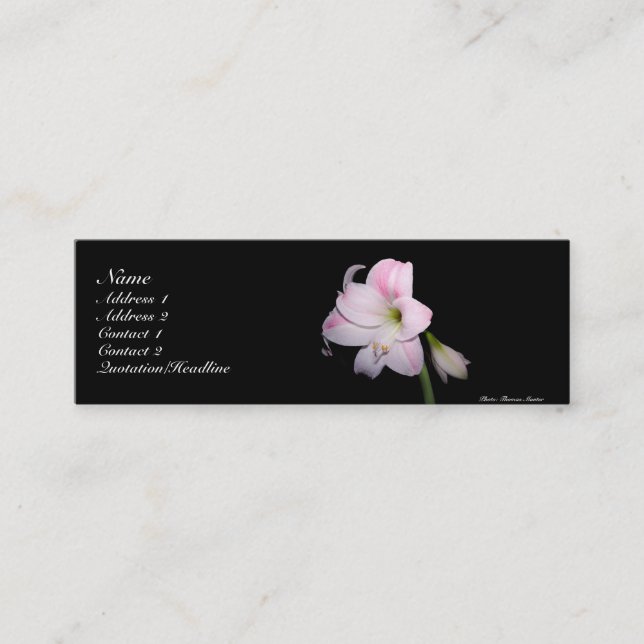 Tarjeta del lirio rosado y blanco (Anverso)