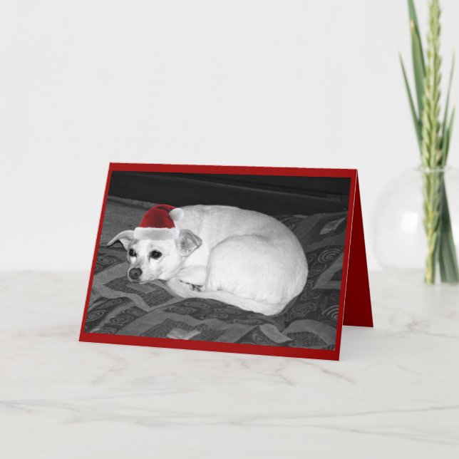 tarjeta del lupe (Anverso)