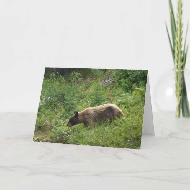 Tarjeta del oso (Anverso)