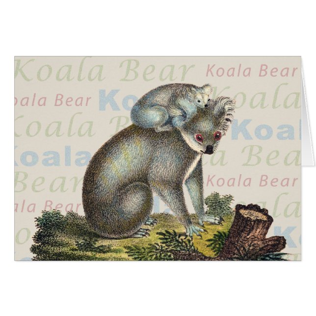 Tarjeta del oso de koala (Anverso (Horizontal))
