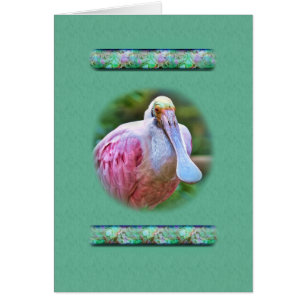Tarjeta del pájaro del Spoonbill rosado