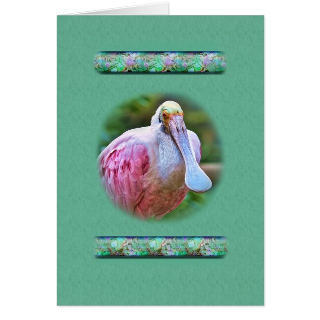 Tarjeta del pájaro del Spoonbill rosado (Frente)