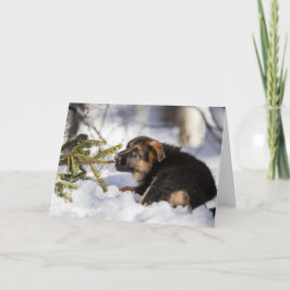 Tarjeta del pastor alemán de las Felices Navidad