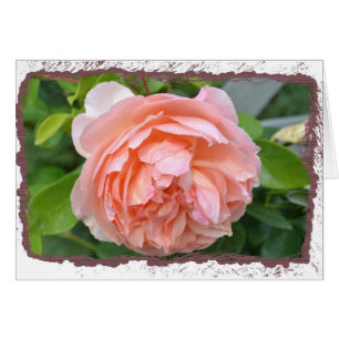 Tarjeta del Peony del melocotón