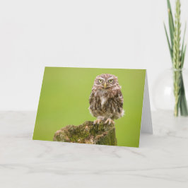 Tarjeta del pequeño búho por el cARTerART