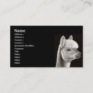 Tarjeta del perfil de la alpaca