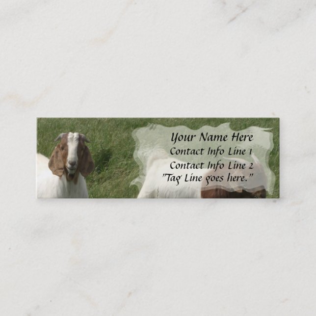 Tarjeta del perfil de las cabras (Anverso)