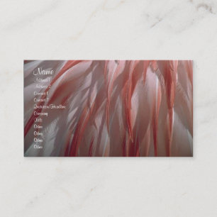 Tarjeta del perfil de las plumas