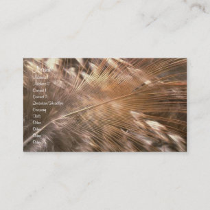 Tarjeta del perfil de las plumas