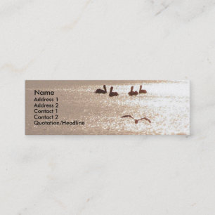Tarjeta del perfil del amanecer del pelícano