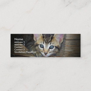 Tarjeta del perfil del gatito