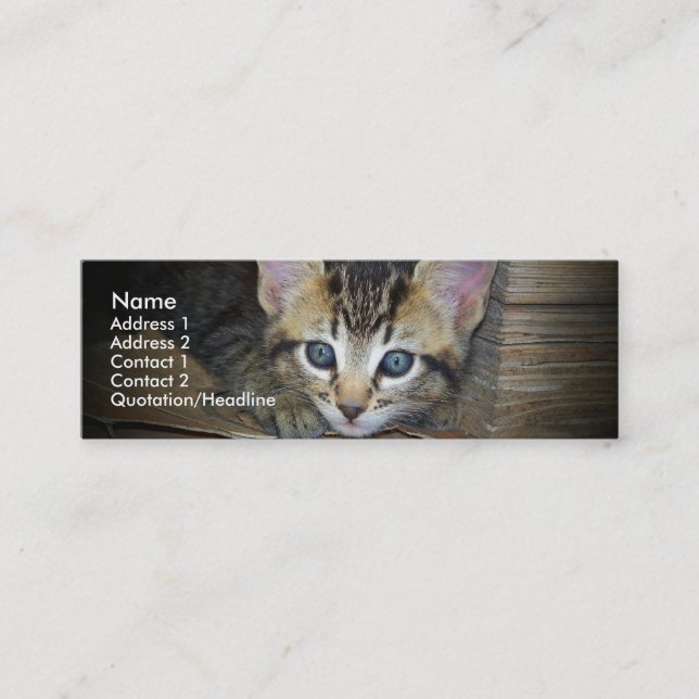 Tarjeta del perfil del gatito (Anverso)