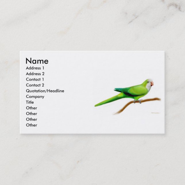 Tarjeta del perfil del loro del Quaker (Anverso)