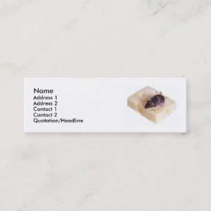 Tarjeta del perfil del ratón del queso suizo