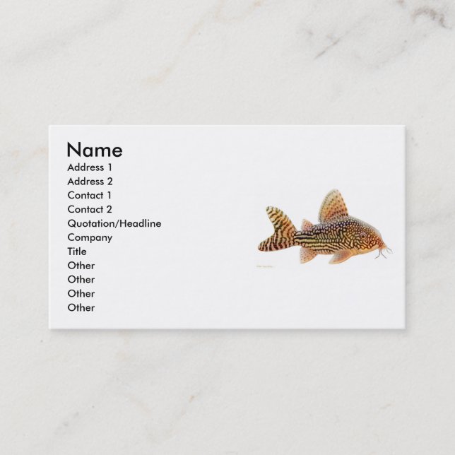 Tarjeta del perfil del siluro de Corydoras Sterbai (Anverso)