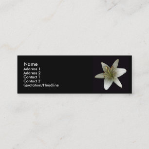 Tarjeta del perfil del Stargazer