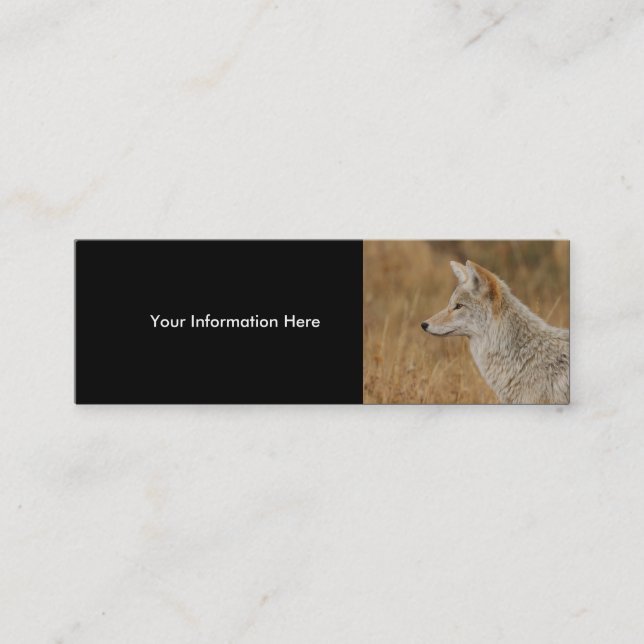 tarjeta del perfil o de visita, coyote (Anverso)