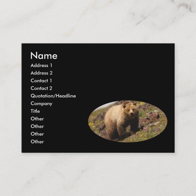 tarjeta del perfil o de visita, oso grizzly (Anverso)
