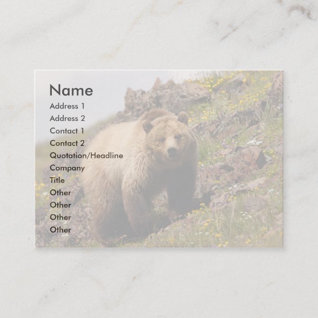 tarjeta del perfil o de visita, oso grizzly (Anverso)