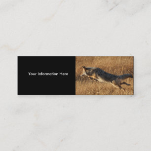tarjeta del perfil o de visita, salto del coyote