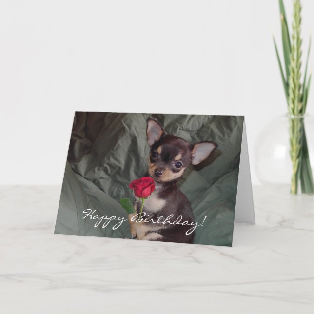 Tarjeta del perrito de la chihuahua del feliz (Anverso)