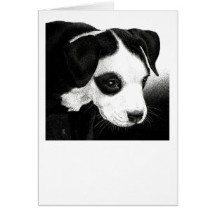 Tarjeta del perrito del pitbull - "chica del