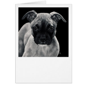 Tarjeta del perrito del pitbull - "Sr. Mischief "