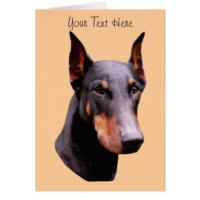 Tarjeta del perro de la cara del Pinscher del (Frente)