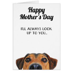 Tarjeta del perro para el Día de la Madre divertid