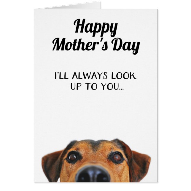 Tarjeta del perro para el Día de la Madre divertid (Frente)