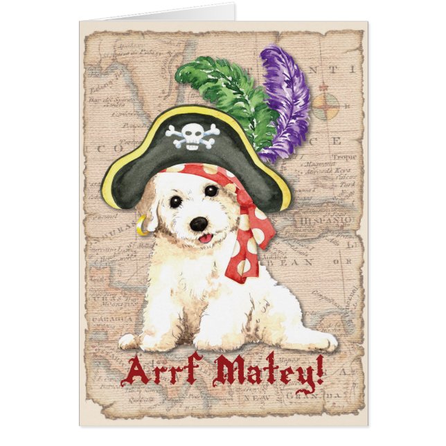Tarjeta del pirata de Bichon Frise (Frente)