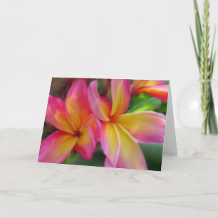 Tarjeta del Plumeria