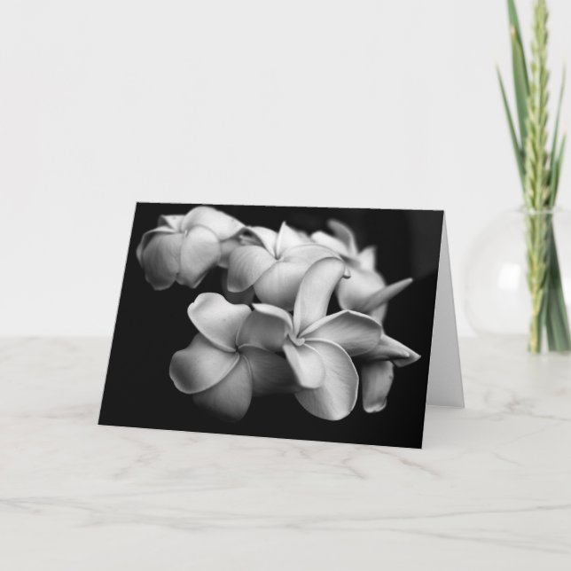 Tarjeta del Plumeria (Anverso)